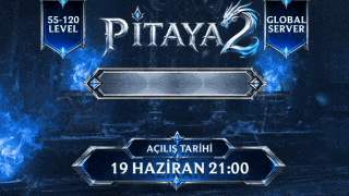 https://pitaya2.com/?metin2vote
